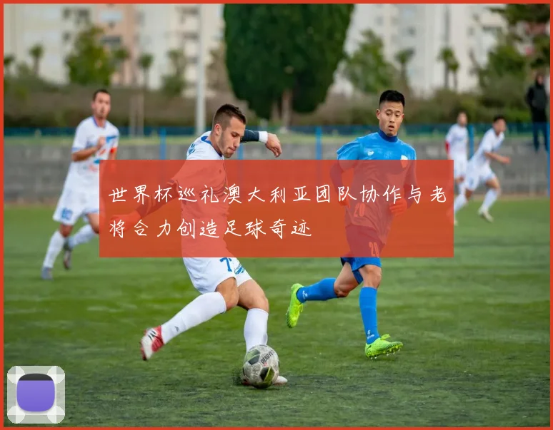 世界杯巡礼澳大利亚团队协作与老将合力创造足球奇迹