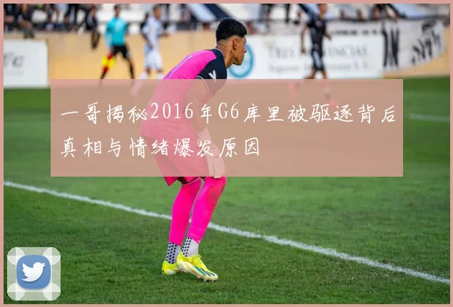 一哥揭秘2016年G6库里被驱逐背后真相与情绪爆发原因