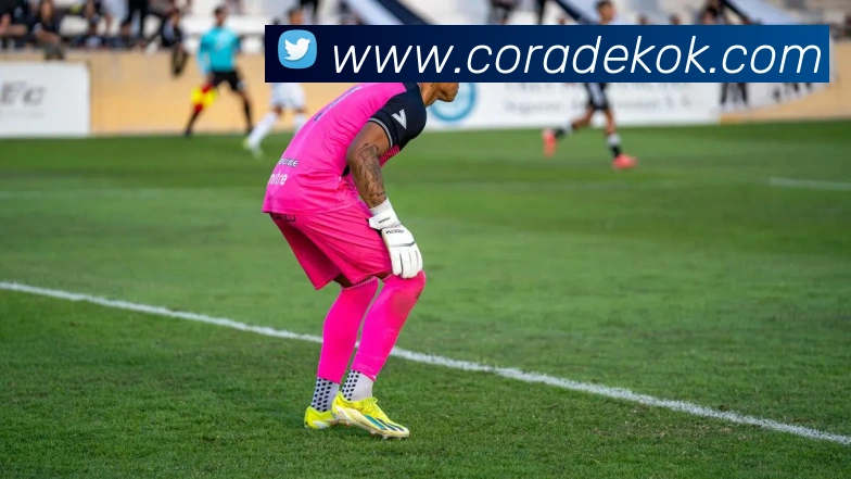 赛事专题整合